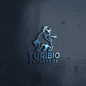 Toribio enterprise  entry by Doni nurdarma