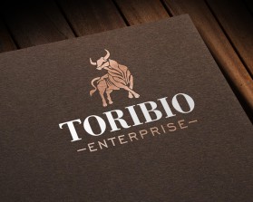 Toribio enterprise  entry by Glasscage