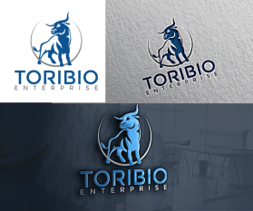 Toribio enterprise  entry by balsh