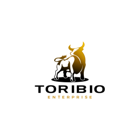 Toribio enterprise  entry by Agus Septian