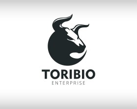 Toribio enterprise  entry by Komang Adi Sastra