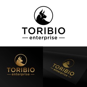 Toribio enterprise  entry by sardor