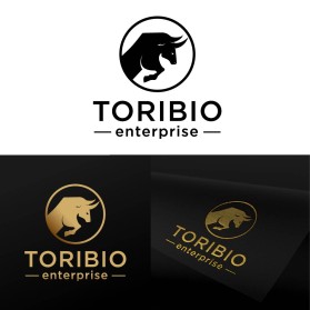 Toribio enterprise  entry by sardor
