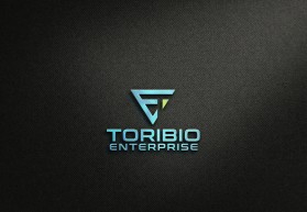 Toribio enterprise  entry by osman36