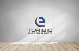 Toribio enterprise  entry by osman36