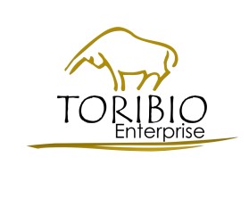 Toribio enterprise  entry by KiesJouwStijl