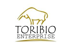 Toribio enterprise  entry by KiesJouwStijl