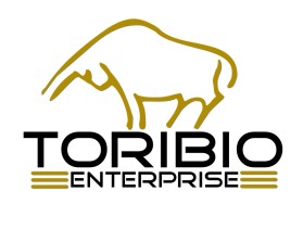Toribio enterprise  entry by KiesJouwStijl