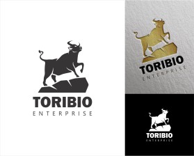 Toribio enterprise  entry by Moderat Corp