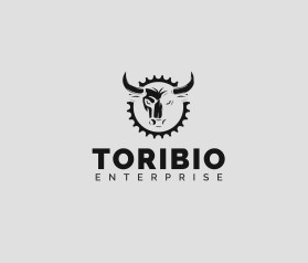 Toribio enterprise  entry by saga1109