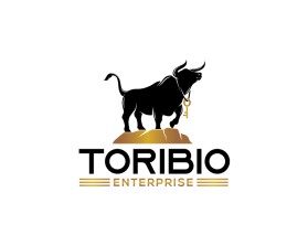 Toribio enterprise  entry by Amit1991