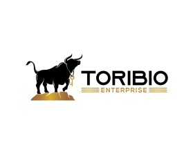 Toribio enterprise  entry by Amit1991
