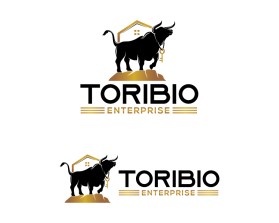 Toribio enterprise  entry by Amit1991