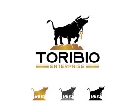 Toribio enterprise  entry by Amit1991