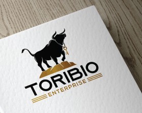 Toribio enterprise  entry by Amit1991