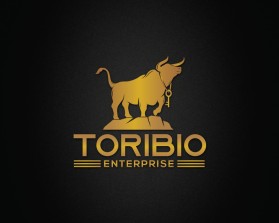 Toribio enterprise  entry by Amit1991