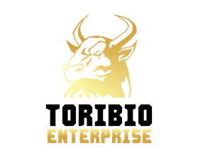 Toribio enterprise  entry by Yojimbo88