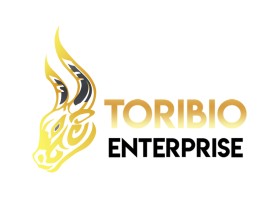 Toribio enterprise  entry by Yojimbo88