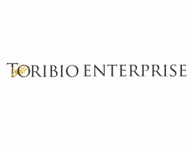 Toribio enterprise  entry by ILHAM12312