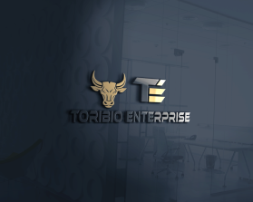 Toribio enterprise  entry by sinha500