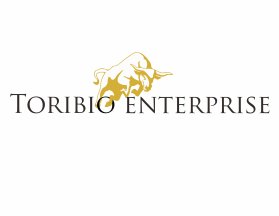Toribio enterprise  entry by ILHAM12312