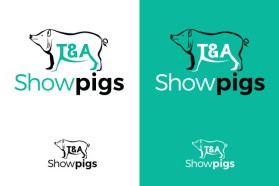T&amp;A Showpigs entry by Rakesh Jana