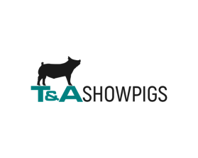 T&amp;A Showpigs entry by Fathenry