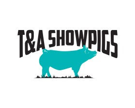 T&amp;A Showpigs entry by quimcey
