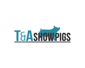 T&amp;A Showpigs entry by Fathenry