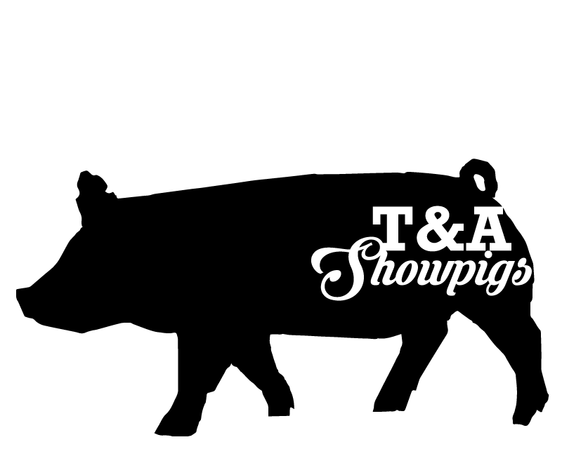 Logo Design for T&amp;A Showpigs
