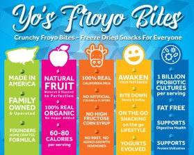 Yo&rsquo;s Froyo Bites  entry by quimcey