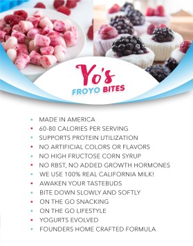 Yo&rsquo;s Froyo Bites  entry by sardor