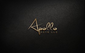 Apollo 0219 LLC entry by Dark49