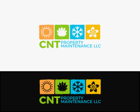 CNT Property Maintenance llc entry by Franco Ababa Barquin