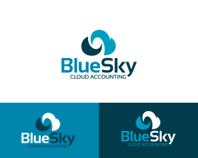 BlueSky Cloud Accounting entry by Suleymanov