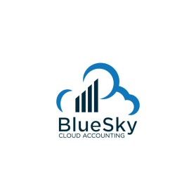BlueSky Cloud Accounting entry by sardor