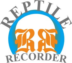 Reptile Recorder entry by FALLIN