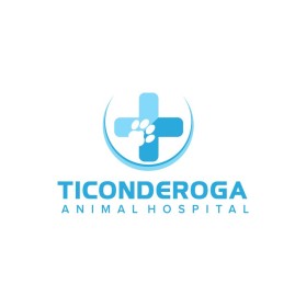 Ticonderoga Animal Hospital entry by Arohim Arohim