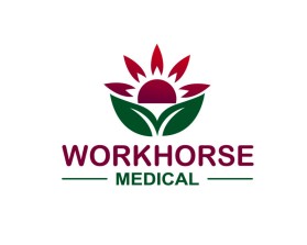 Workhorse Medical entry by Niels