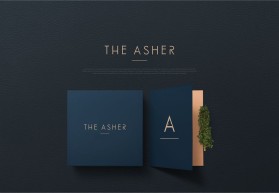 The Asher entry by Farhan