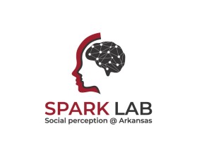 Spark Lab entry by Milos Glisic