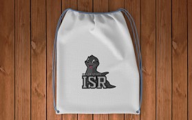 Silver State ISR entry by Techvin02