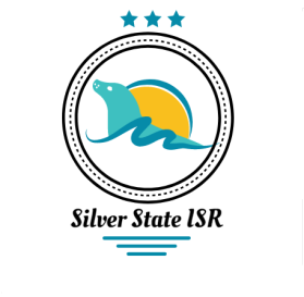Silver State ISR entry by nasro46