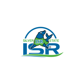Silver State ISR entry by aziz5468aswar