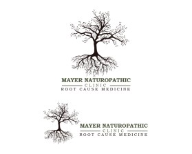 Mayer Naturopathic Clinic entry by webandgraphic