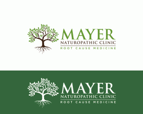 Mayer Naturopathic Clinic entry by dsdezign