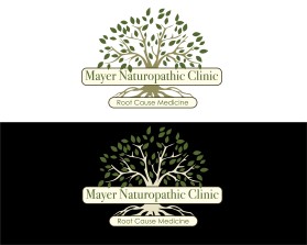 Mayer Naturopathic Clinic entry by Microtonal