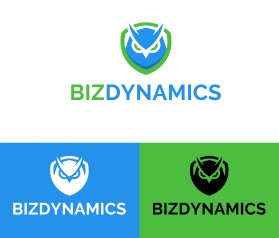  BizDynamics entry by Saga09110