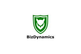  BizDynamics entry by tusi
