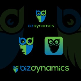  BizDynamics entry by Sabid